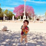 Concurso Fotográfico