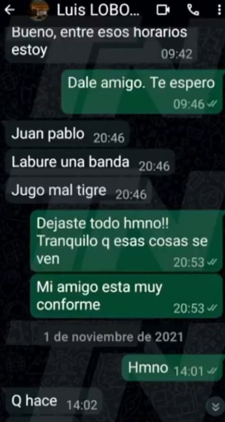 El chat que se difundió como un diálogo entre Lobo Medina y Beacon.