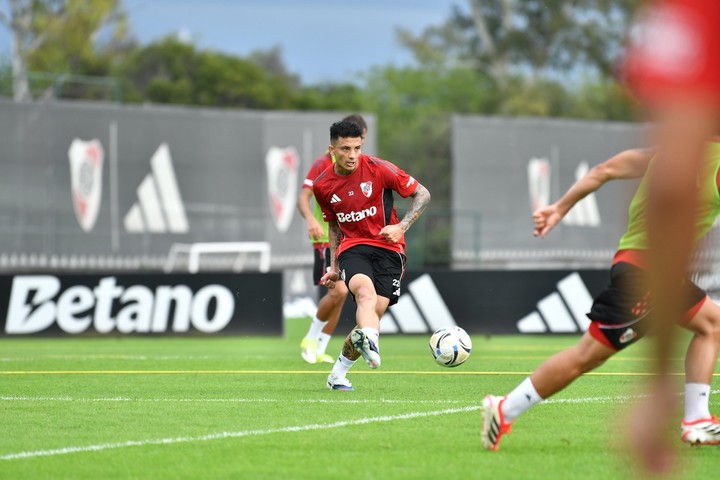 Castaño en el Camp.
Prensa River