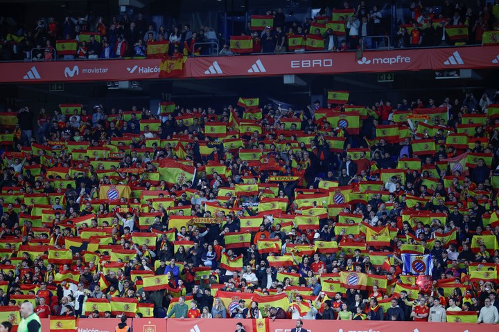 La hinchada durante el partido entre España y Egipto. (EFE/Alberto Estévez)