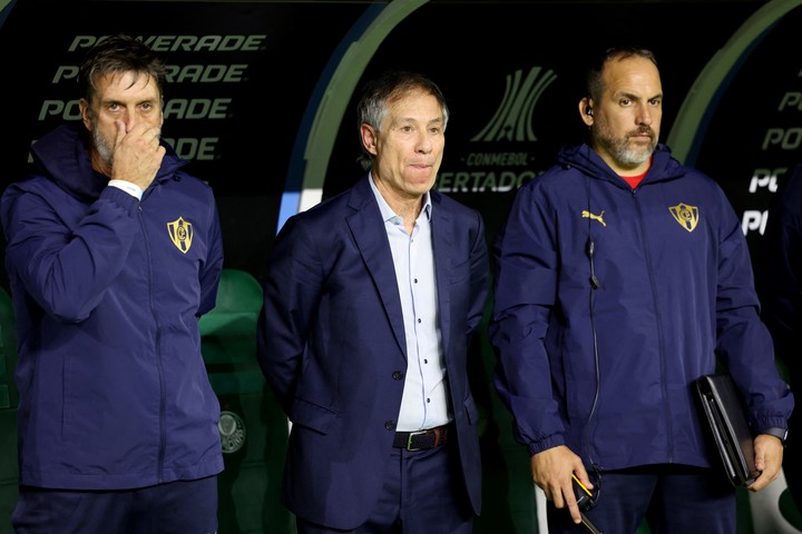 Holan no perdió ninguno de los dos partidos ante Palmeiras (REUTERS/Jorge Silva).