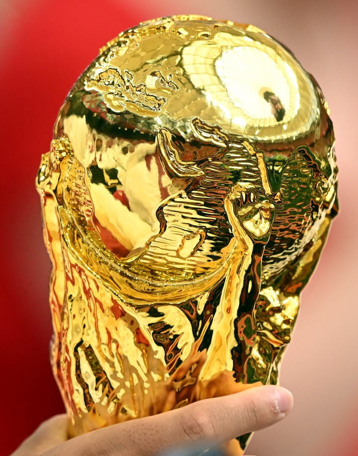 La Copa del Mundo (Reuters/Anne-Marie Sorvin