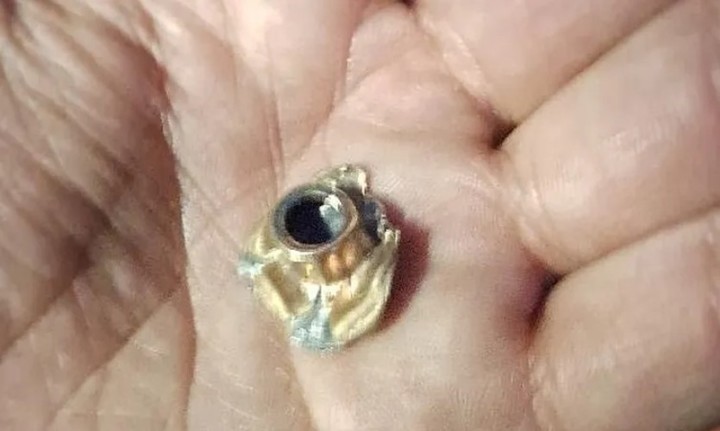 Una de las balas encontradas dentro del micro.