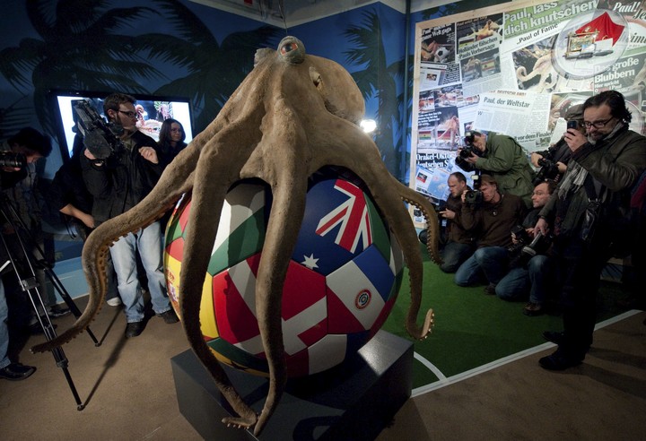 En Oberhausen, Alemania, hay un monumento al Pulpo Paul, fallecido en octubre 2010.
