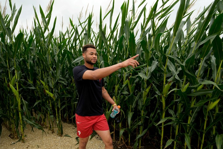 Se volvió a jugar en Field of Dreams (Foto: AP).