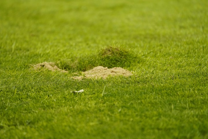 Ante O´Higgins, esa zona de la cancha aún no estaba asentada. (Foto: Fernando de la Orden)Ante O´Higgins, esa zona de la cancha aún no estaba asentada. (Foto: Fernando de la Orden).