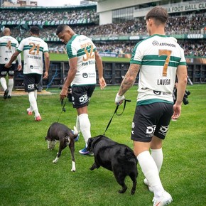La emotiva iniciativa que tomó Coritiba con perros rescatados antes de un partido